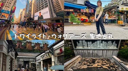 映画『トワイライト・ウォリアーズ 決戦！九龍城砦』聖地巡礼ツアー＜九龍城寨公園・楽口福酒家・油麻地フルーツマーケット・文武廟・銅鑼湾交差点＞