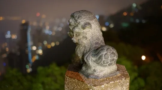 ビクトリアピークからの100万ドルの夜景と中華レストランでの夕食＜ピークトラム・ビクトリアピーク・中華料理付き＞