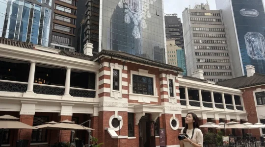 香港のアートと歴史を巡る半日ツアー＜自分で選べる「M＋」or「故宮文化博物館」チケット代込＞