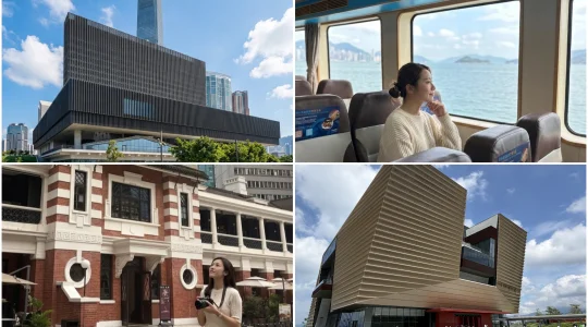 香港のアートと歴史を巡る半日ツアー＜自分で選べる「M＋」or「故宮文化博物館」チケット代込＞