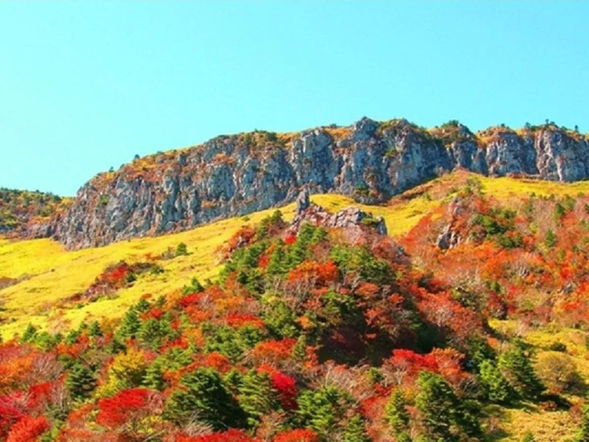 済州島観光ツアー　3大世界遺産を制覇！漢拏山（ハルラサン）＋城山日出峰＋万丈窟　済州島黒豚焼きランチ＜ 1日／日本語ガイド／ホテル送迎付／貸切プラン有＞
