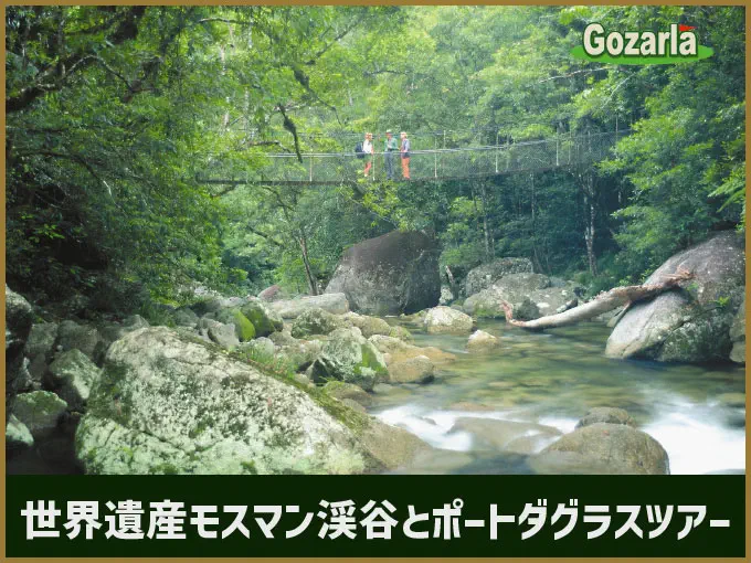 世界遺産モスマン渓谷とポートダグラスツアー