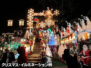 【期間限定】クリスマス・イルミネーションツアー