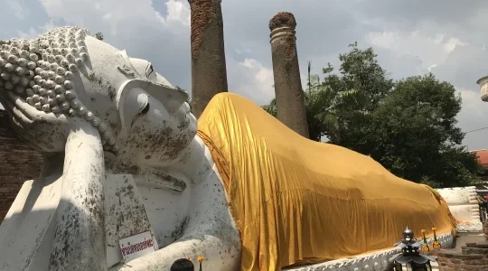 【午後発】世界遺産アユタヤ遺跡半日観光 + 象乗り体験