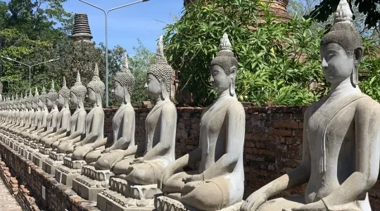 【到着日プラン】ピンクのカオマンガイの朝食付き！世界遺産アユタヤ遺跡半日観光 5つの主要遺跡を観光