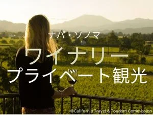 【専用車でご案内】ワイナリープライベート観光（ナパ／ソノマ）