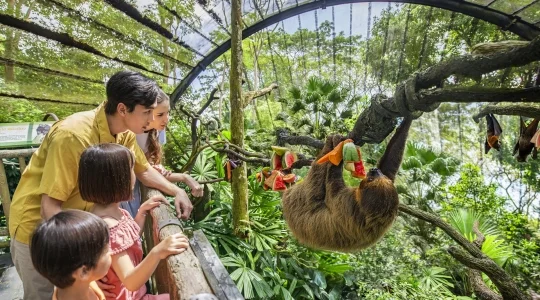 世界でも珍しい 柵のない動物園「シンガポール動物園」