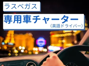 【専用車】ラスベガス プライベート観光 (英語ドライバー)